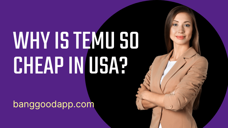 Why is Temu so Cheap in USA?